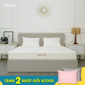 Nệm Foam Royal